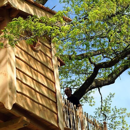 La Cabane Du Vieux Chene Susmiou エクステリア 写真